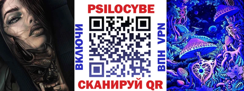 Галлюциногенные грибы Psilocybine cubensis  сколько стоит  Шахунья 